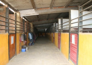 Nuestras instalaciones